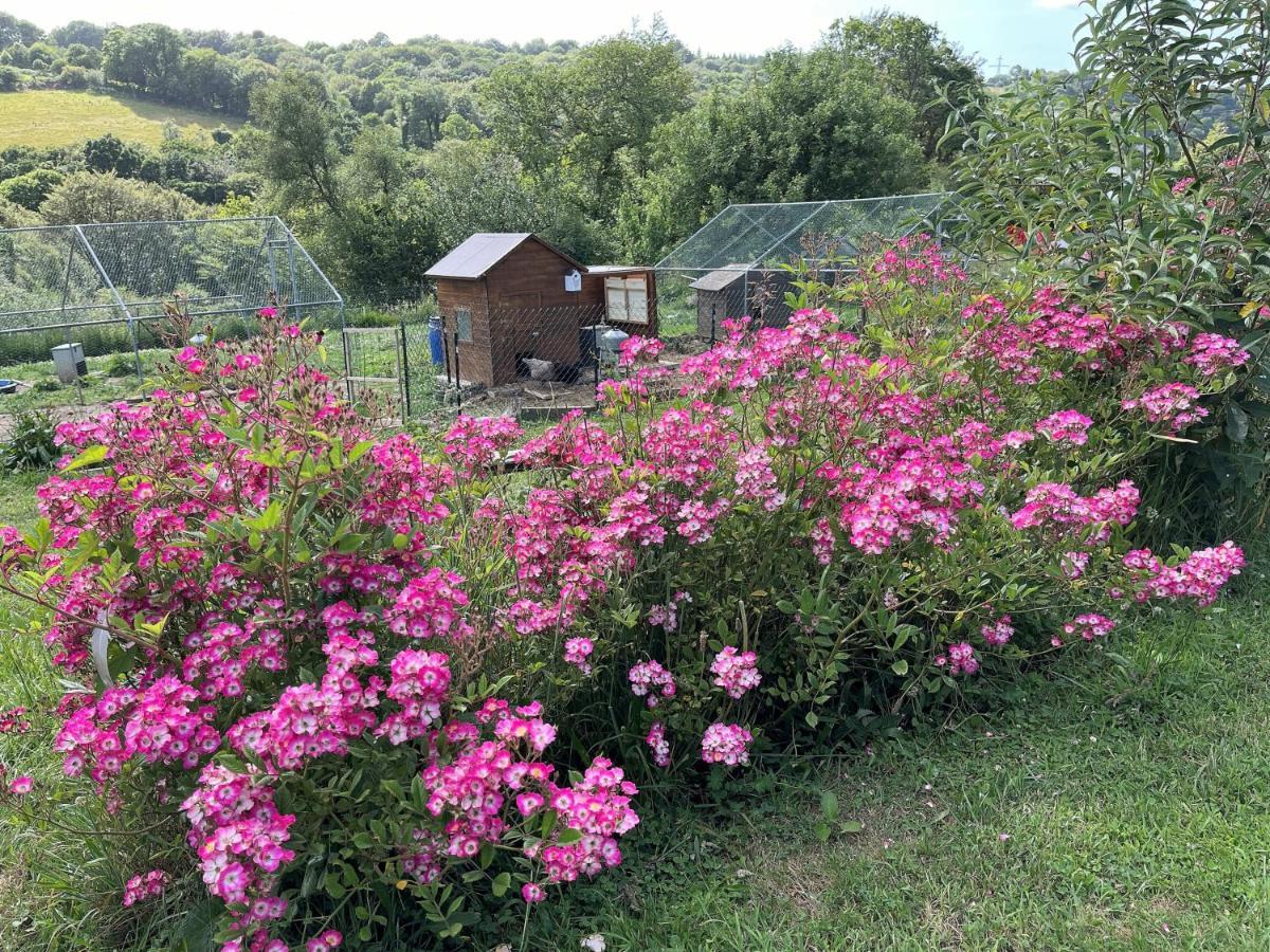 Keryanti Domaine de Lesleac'h Villa Le Ponthou Bagian luar foto